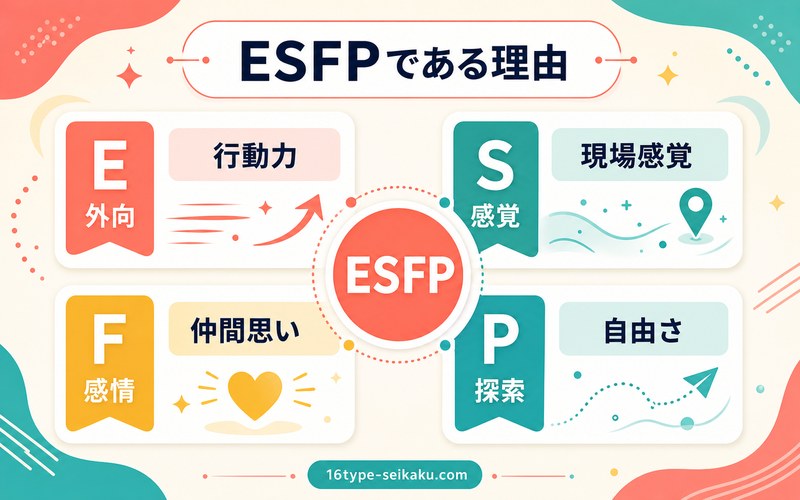 ニカイドウがESFPタイプである理由を4軸でまとめた画像