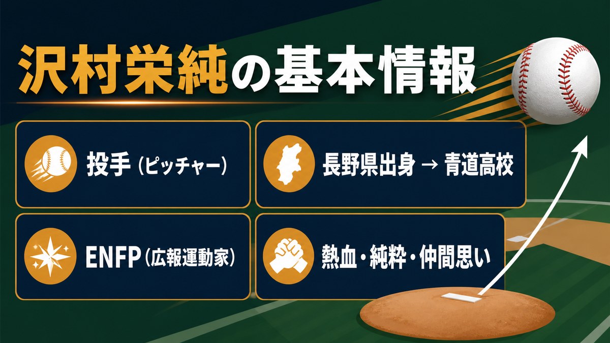 沢村栄純のポジション、出身、ENFPタイプ、性格特徴を整理した基本情報画像